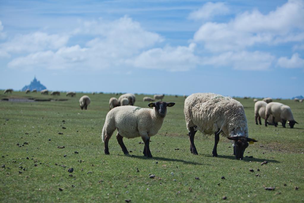 Le Mouton Blanc Hotel Mont-Saint-Michel Luaran gambar